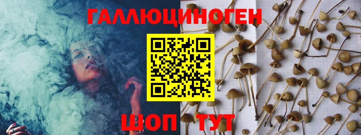 Галлюциногенные грибы прущие грибы  Вход с VPN  Октябрьский 