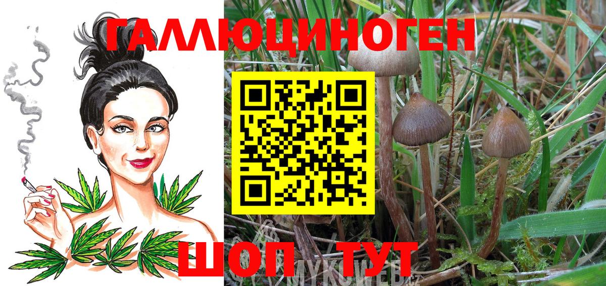 Галлюциногенные грибы GOLDEN TEACHER Октябрьский